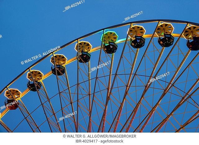 Ferris Wheel, fun fair at the Deutz bank of the Rhine, autumn fun fair, Cologne, North Rhine-Westphalia, Germany