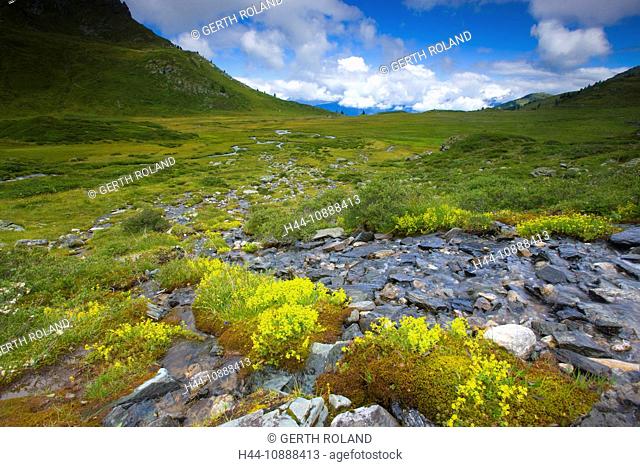 L'Ar du Tsan, Switzerland, Europe, canton Valais, Vallon de Réchy, nature reserve Val d'Hérens, plateau, brook, meander, flowers, fat hen, clouds