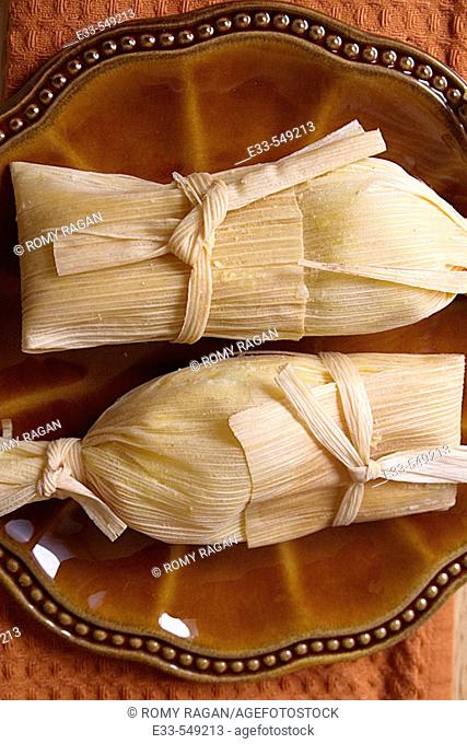 Mexican cuisine - Plate of tamales