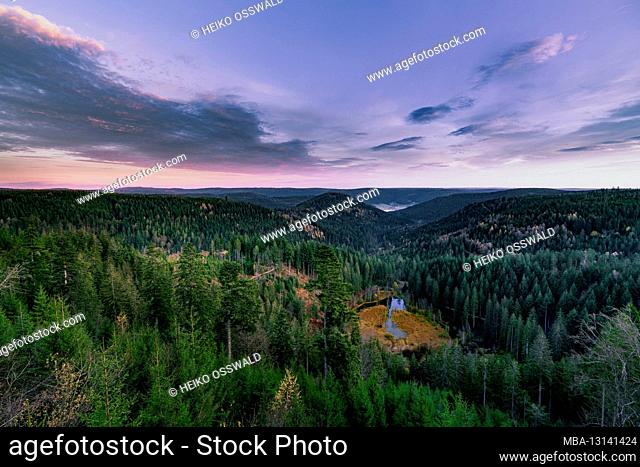 Ellbachseeblick, sunrise, Black Forest, Baden-Wuerttemberg, Germany, Europe