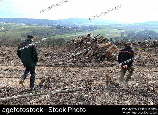 02 April 2020, Hessen, Gottsbüren: Forest office employee and press officer Klemens Kahle (l) and district forester Philipp Tassius walk over a windthrow area...