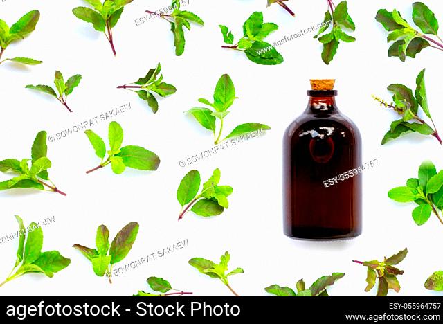 Essential oil bottle with holy basil leaves on white background. Top view