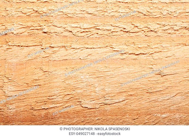 wood cut in hafl, close up abstract shot