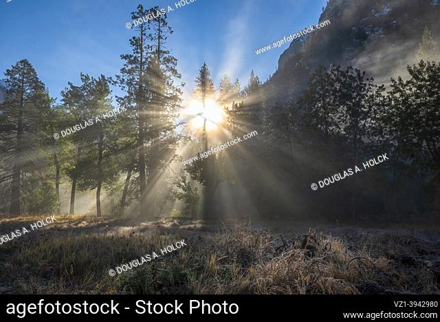 Sunburst on a Cold Fall Day in Yosemite Valley Yosemite NP CA USA World Location
