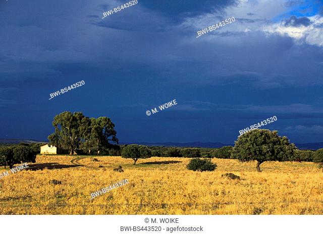 approaching front carrying rain over extensive field landscape, Spain, Extremadura, Trujillo