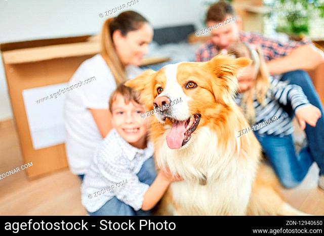 Hund als Haustier und Freund beim Umzug mit Familie ins neue Eigenheim