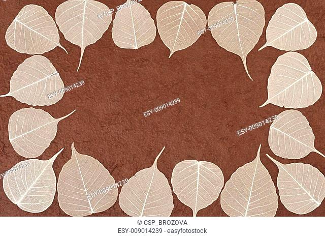 Skeletal leaves over brown handmade paper - frame