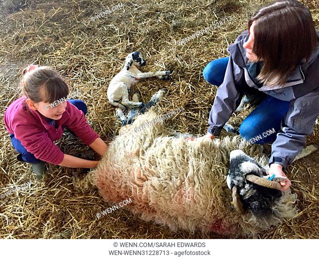 Spring is one of the hardest working times of the year for Cumbrian Farmers. Lambing takes place around the clock and for this mother and daughter duo