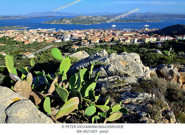 View over La Maddalena and on Sardinia, Isola Maddalena, Arcipelago di La Maddalena National Park, Sardinia, Italy