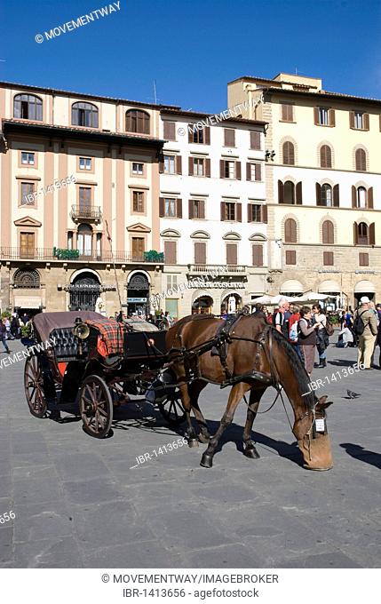 Fiacre on the Piazza della Signoria, Florence, Tuscany, Italy, Europe