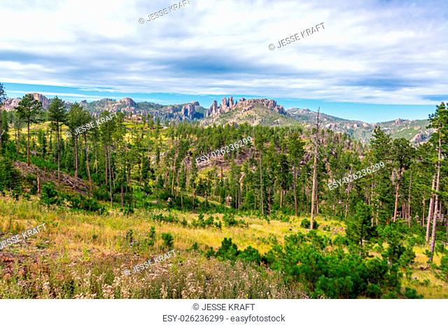 Custer State Park landscape with the Cathedral Spires rock formation rising in the background