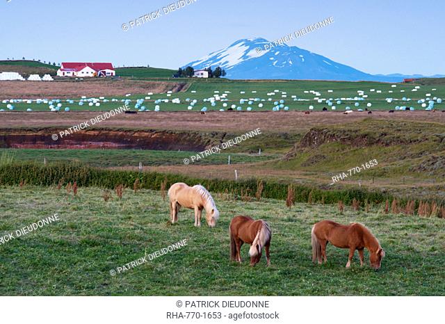 Agricultural land at the foot of the mighty volcano Hekla, north of Hella, in the south of Iceland Sudurland, Iceland, Polar Regions