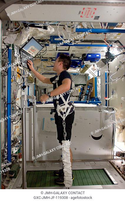 Japan Aerospace Exploration Agency astronaut Aki Hoshide, Expedition 33 flight engineer, equipped with a bungee harness, prepares to exercise on the Combined...