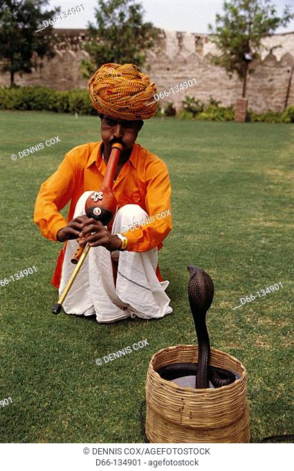 Snake chamer and cobra, Khimsar. Nagaur, Rajasthan, India