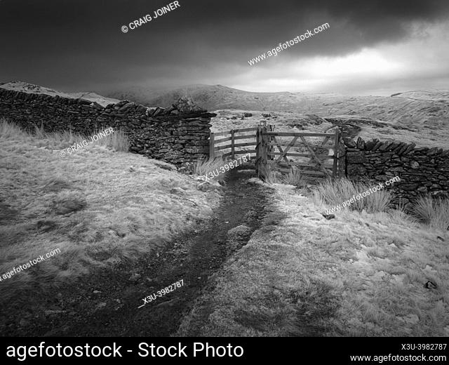 Footpath on the east slope of Wansfell in late winter in the Lake District National Park, Cumbria, England