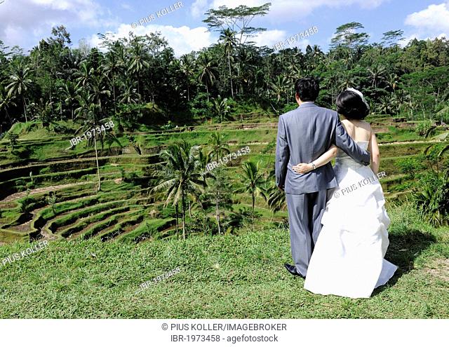 Korean wedding couple, arm in arm in front of a rice terrace in Ubud, Bali, Indonesia, Southeast Asia