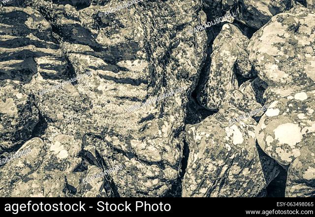 Texture from the rock in the Table Mountain National Park in Cape Town, South Africa