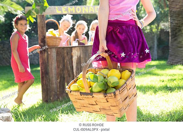 Cropped shot of girl carrying basket of lemons in front of lemonade stand