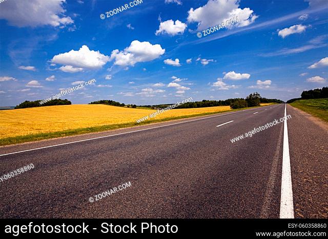 the small rural asphalted road photographed in summertime of year. Belarus