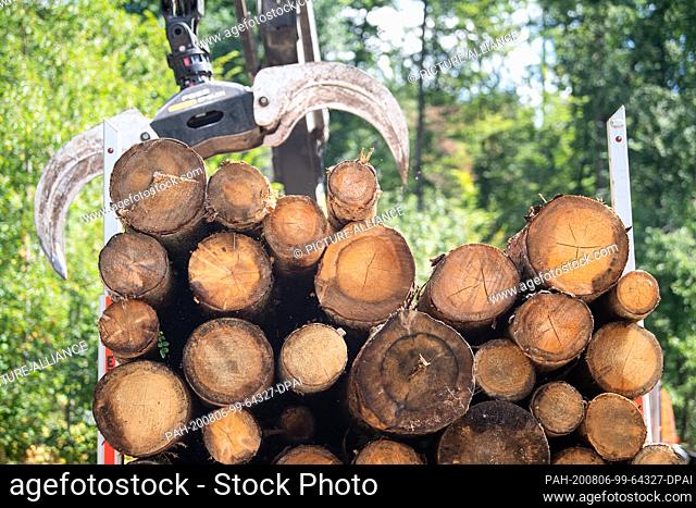 05 August 2020, Baden-Wuerttemberg, Oberrot: Logs damaged by bark beetles are loaded onto a truck. Photo: Sebastian Gollnow/dpa
