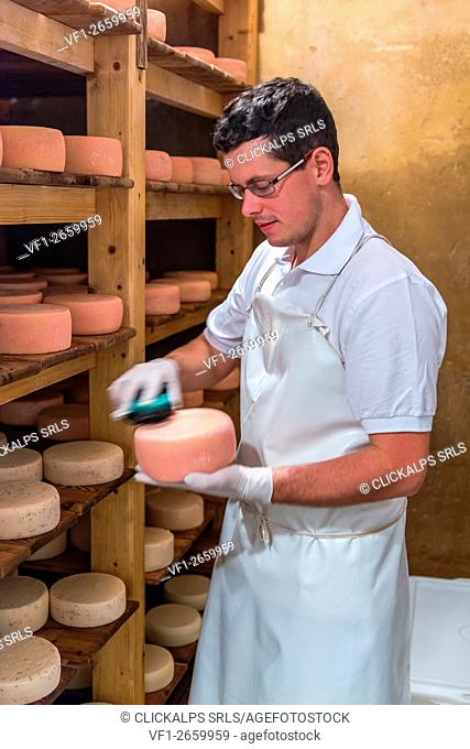 Funes Valley, Dolomites, South Tyrol, Italy. Thomas from Malga Kaserill brushing his cheese