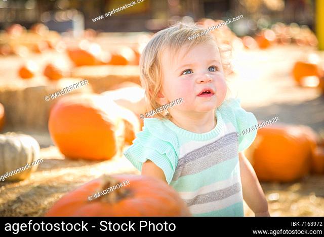 Adorable baby girl having fun in a rustic ranch setting at the pumpkin patch