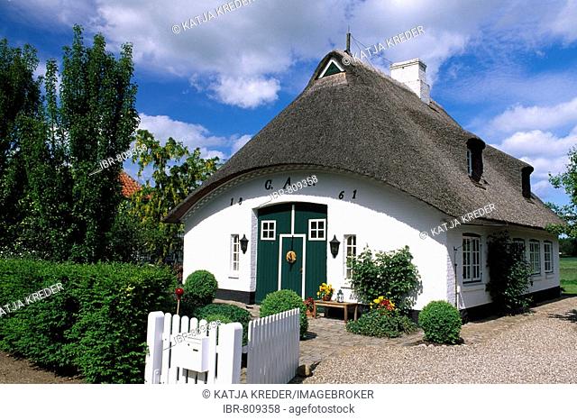 Thatched, thatch roof house, Sieseby, Schlei, Schleswig-Holstein, Germany, Europe