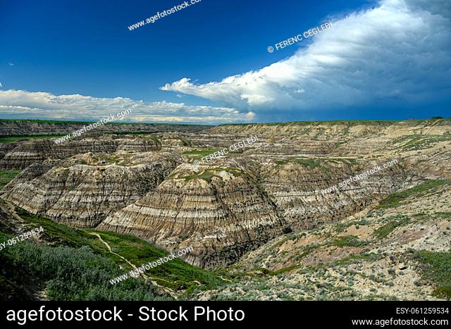 Horsethief Canyon in the Red Deer River Valley, Canadian Badlands on the North Dinosaur Trail, Drumheller, Alberta, Canada