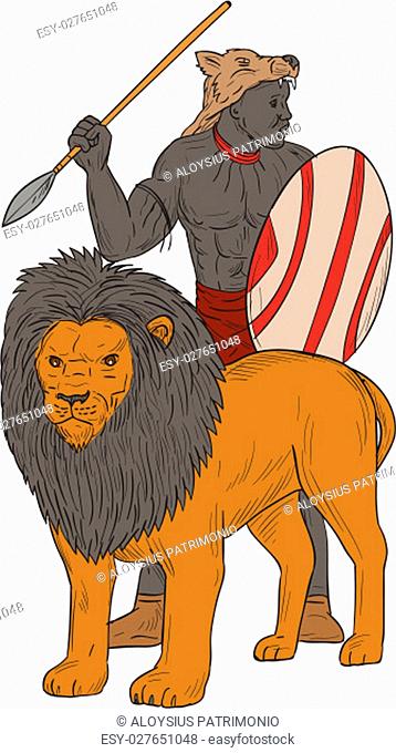 Drawing sketch style illustration of an african warrior holding spear and shield looking to the side hunting with lion facing front set on isolated white...