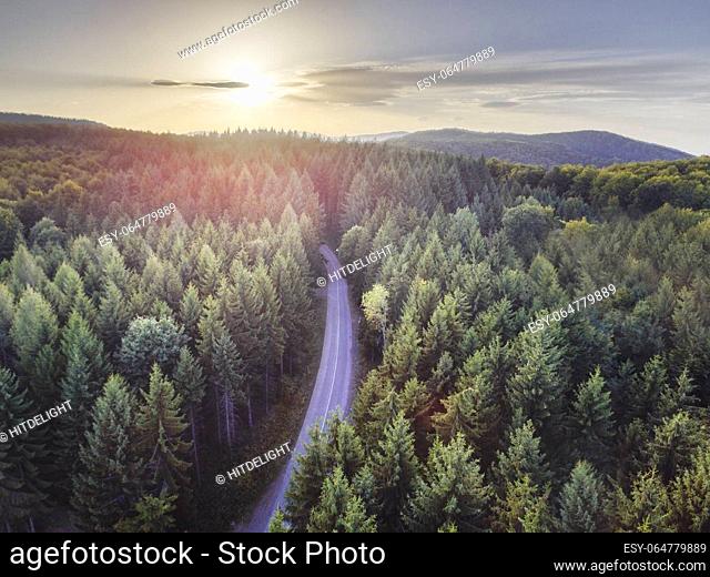 Aerial nature scenic landscape of pine trees and driving road in summer. Top view of dark green forest in mountain at sunset