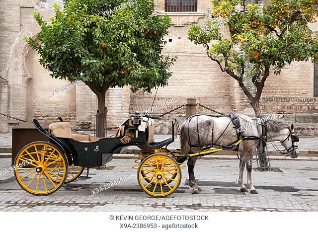 Cathedral, Seville - Sevilla with Horse and Carriage, Spain, Europe