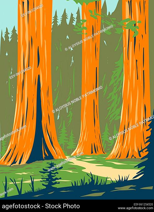 WPA poster art of Mariposa Grove of giant sequoia in the southernmost part of Yosemite National Park near Wawona, California