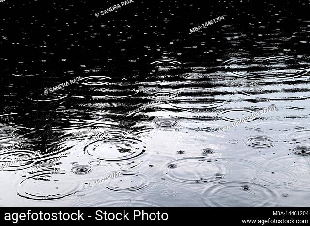 Raindrops on a lake, Pfälzerwald Nature Park, Pfälzerwald-Nordvogesen Biosphere Reserve, Germany, Rhineland-Palatinate