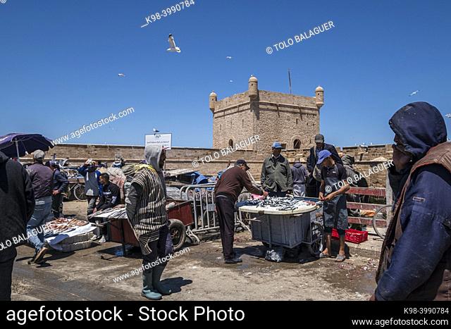 fresh fish market, fishing port, Essaouira, morocco, africa