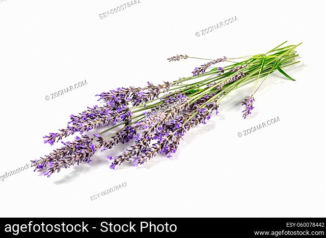 Lavender flower bouquet on a white background. Aromatic herb