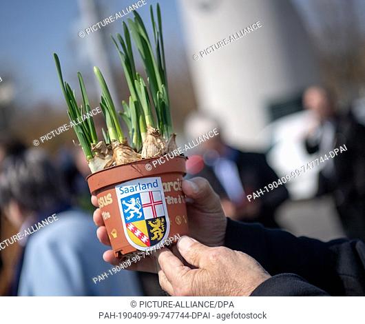 09 April 2019, Berlin: After arriving in Berlin, a participant of the protest action of the Saar mayors and councillors holds a flower with a Saarland sticker...