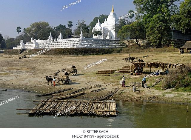 Bullock carts at riverside in front of Buddhist temple, Ayeyarwady River, Myanmar