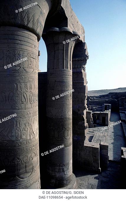 Columns from the Hypostyle Hall, Temple of Sebek and Haroeris, Kom Ombo, Egypt. Egyptian civilisation