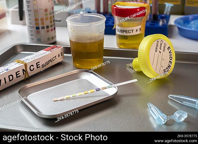 Forensic police analyse several containers of human urine of labelled murder suspects in each, conceptual image