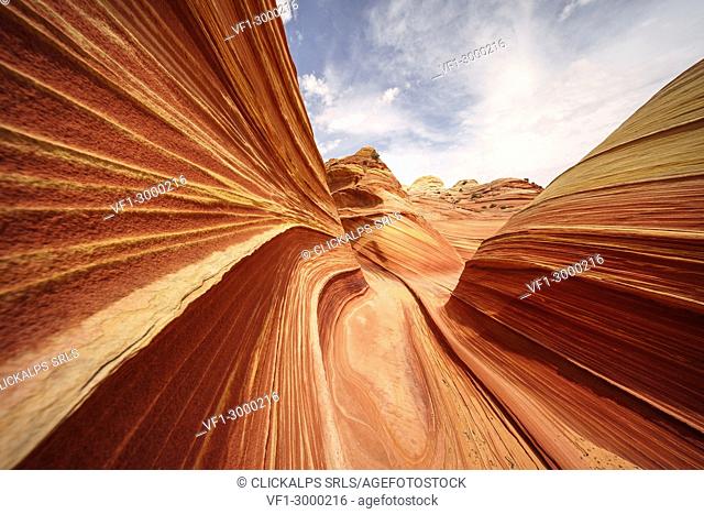 The Wave, Coyote Buttes North, Paria Canyon-Vermillion Cliffs Wilderness, Colorado Plateau, Arizona, USA