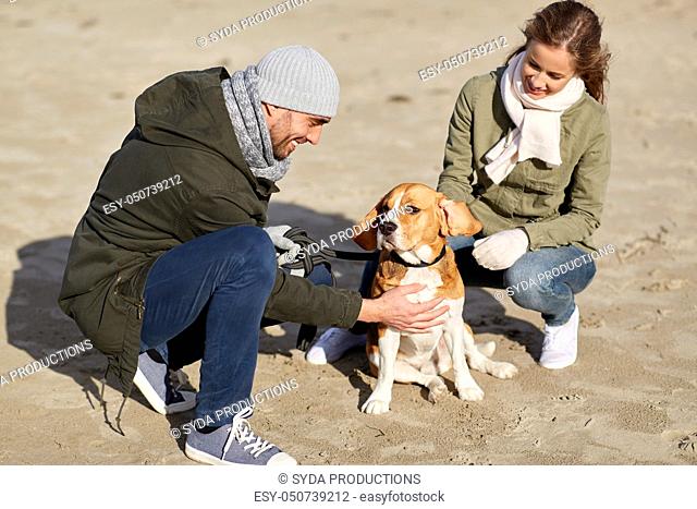 happy couple with beagle dog on autumn beach