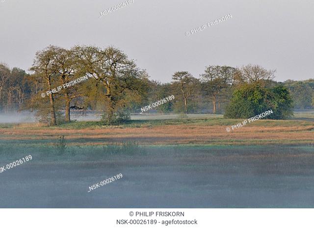 In spring after a cold night haze is covering the river, The Netherlands, Drenthe, National Parc Drentsche Aa