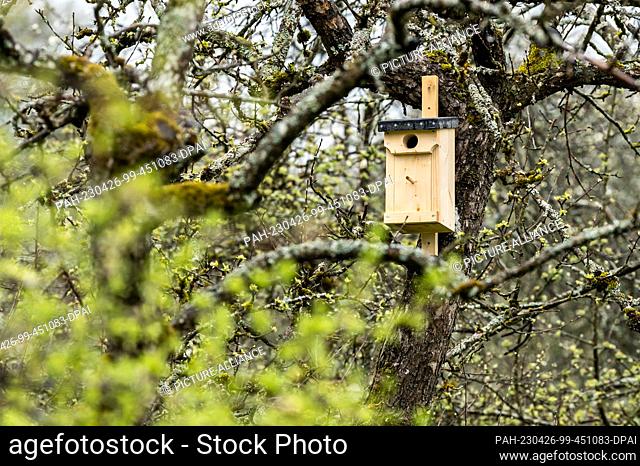 25 April 2023, Baden-Württemberg, Rottweil: A birdhouse hangs on a tree. Photo: Silas Stein/dpa. - Rottweil/Baden-Württemberg/Germany