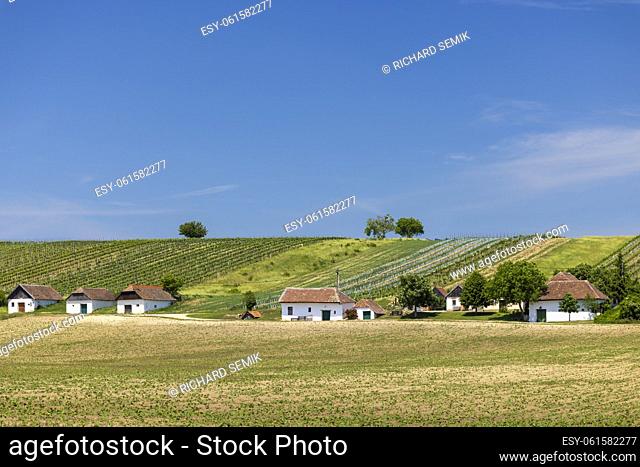 Traditional wine cellars street in Diepolz near Mailberg, Lower Austria, Austria