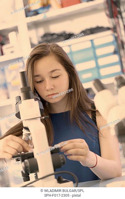 MODEL RELEASED. Girl using microscope in laboratory