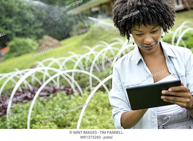 An organic horticultural nursery and farm outside Woodstock. A woman holding a digital tablet
