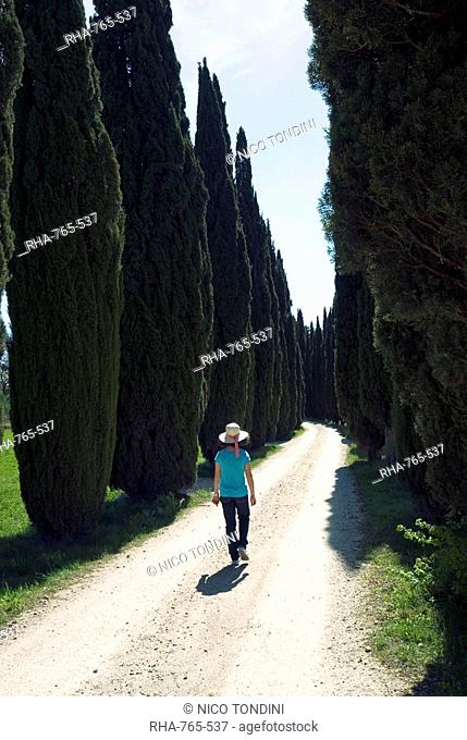Road to Castello di Romena, Casentino, Arezzo, Tuscany, Italy, Europe