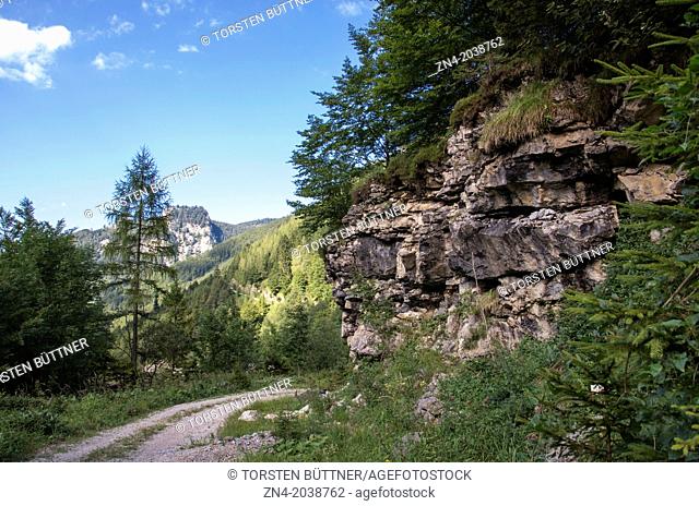 Hiking Trail in Eastern Limestone Alp Region. Kalkalpen National Park. Austria