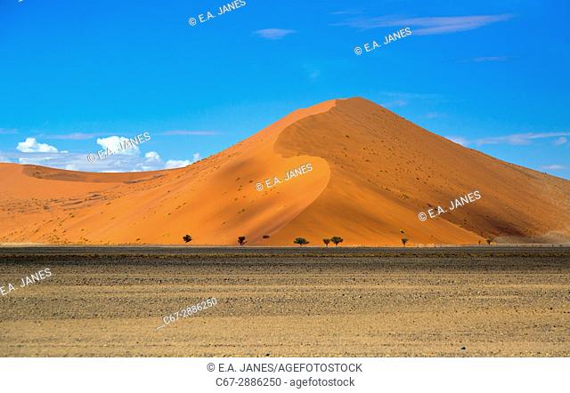 Namib desert in Sossusvlei region Namibia March