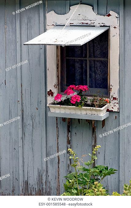 Cottage Window with Flower Box